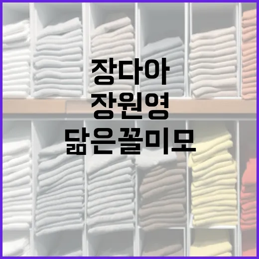 장다아처럼 장원영 닮은꼴 미모를 갖추는 방법 - 요약