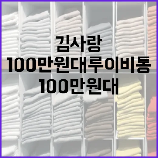 김사랑처럼 100만원대 루이비통 가방 구매하는 방법 - 요약