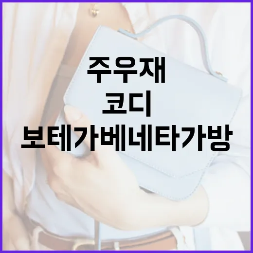 주우재 스타일로 보테가베네타 가방 코디하는 방법 - 요약