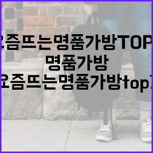 요즘 뜨는 명품 가방 TOP7 알아보는 방법 - 요약