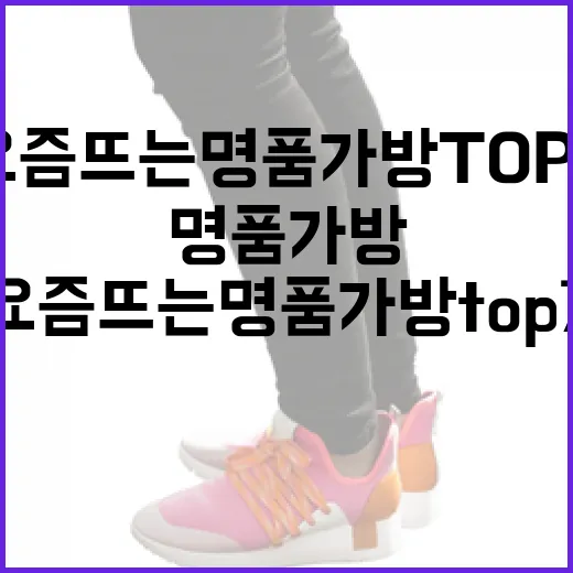 요즘 뜨는 명품 가방 TOP7 알아보는 방법 - 요약