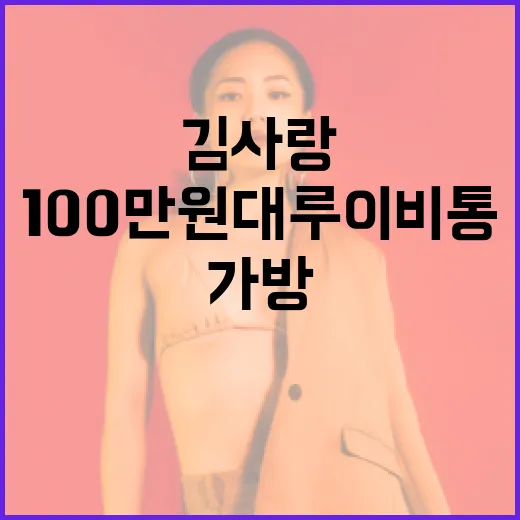 김사랑처럼 100만원대 루이비통 가방 선택하는 방법 - 요약