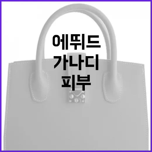 에뛰드 가나디 활용법: 피부를 환하게 가꾸는 비결 - 요약