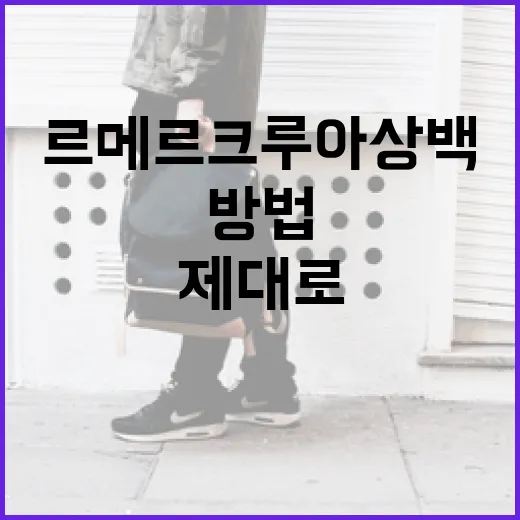 르메르 크루아상백을 제대로 활용하는 방법 - 요약