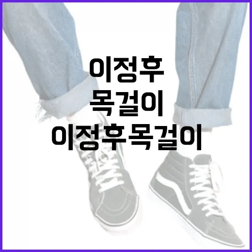 이정후 목걸이를 선택하는 방법 - 요약