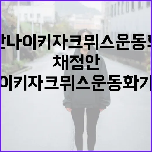 채정안 나이키 자크뮈스 운동화 가격 알아보기 - 요약