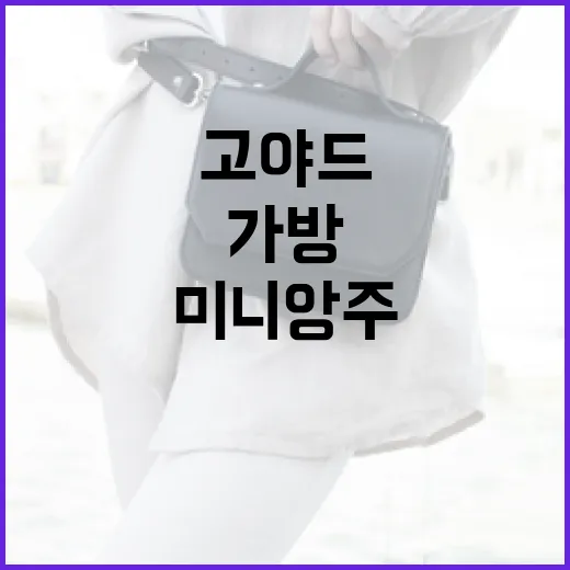 고야드 미니앙주 가방을 완벽하게 스타일링하는 방법 - 요약