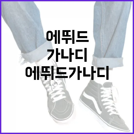 에뛰드 가나디 사용하는 방법 - 요약