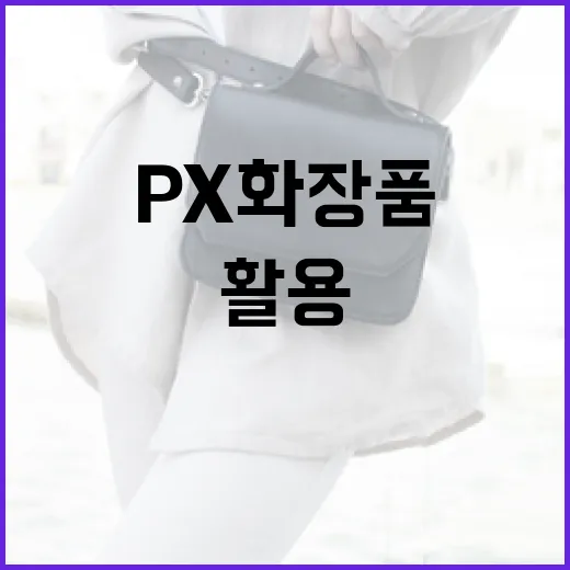 px 화장품을 효과적으로 활용하는 방법 - 요약