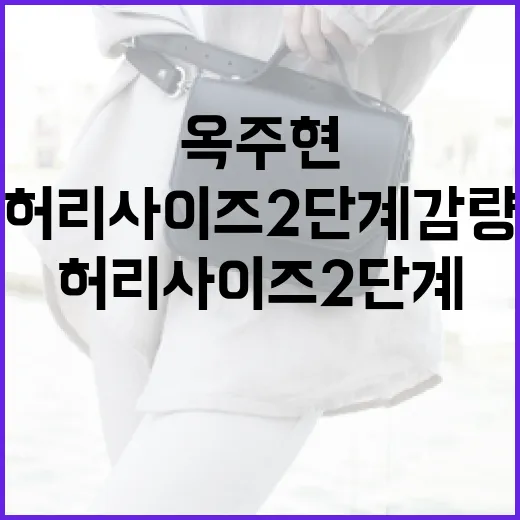 옥주현처럼 허리사이즈 2단계 감량하는 방법 - 요약