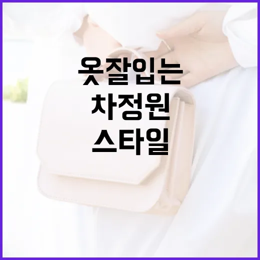 차정원 스타일로 옷 잘 입는 방법 - 요약