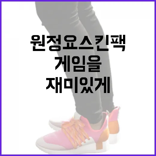 원정요 스킨팩을 활용하여 게임을 더욱 재미있게 즐기는 방법 - 요약