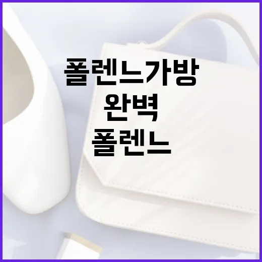 폴렌느 가방을 완벽하게 활용하는 방법 - 요약