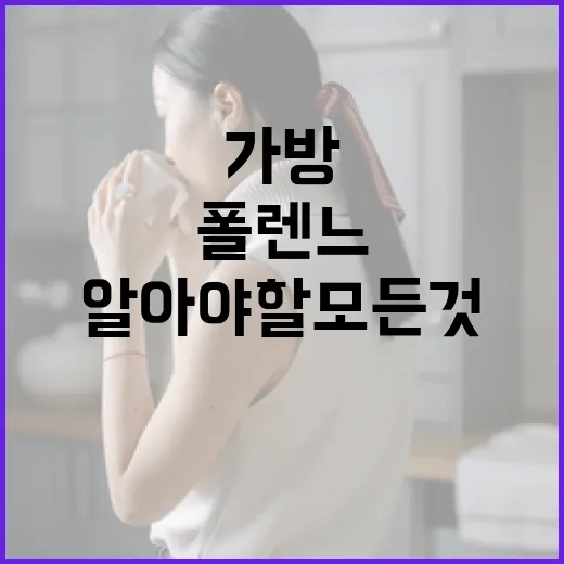 폴렌느 가방 구매 시 알아야 할 모든 것 - 요약