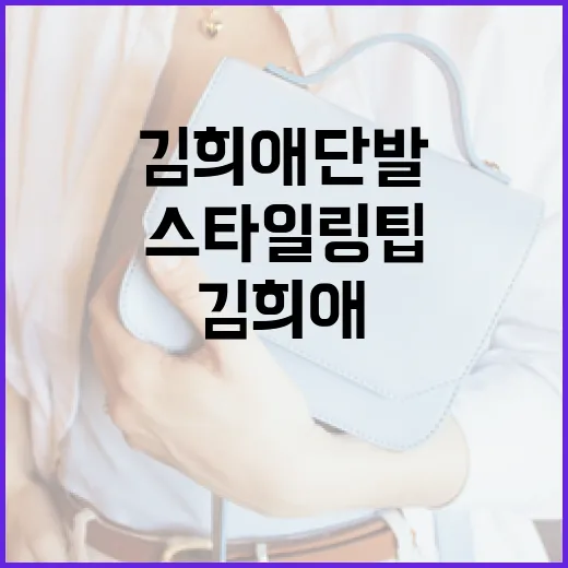 김희애 단발 스타일링 가이드: 스타일링 팁과 관리 방법 - 요약