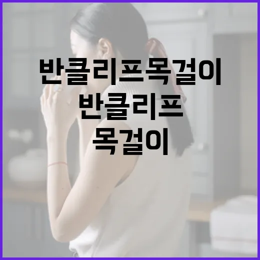 반클리프 목걸이를 선택하는 방법 - 요약