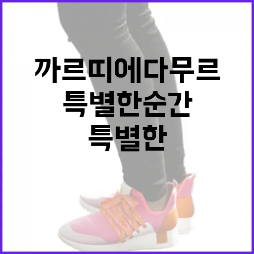 까르띠에 다무르로 특별한 순간을 더욱 특별하게 만드는 방법 - 요약