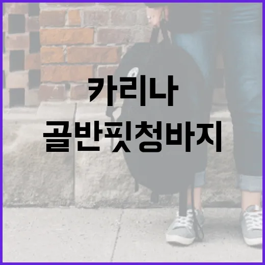 카리나처럼 골반핏 청바지를 트렌디하게 입는 방법 - 요약