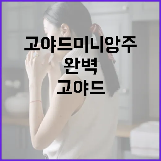 고야드 미니앙주를 완벽하게 활용하는 방법 - 요약