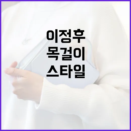 이정후 목걸이를 선택하는 방법: 스타일과 의미를 알아보자 - 요약
