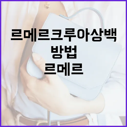 르메르 크루아상백을 스타일리시하게 활용하는 방법 - 요약