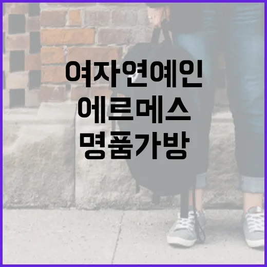 여자 연예인처럼 에르메스 명품 가방 스타일링하는 방법 - 요약