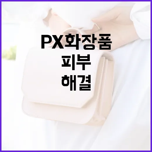 px 화장품을 활용하는 방법: 피부 고민 해결을 위한 가이드 - 요약