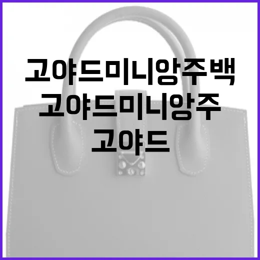 고야드 미니앙주 백을 관리하는 방법 - 요약