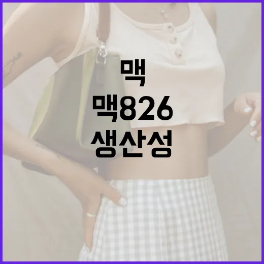 맥826에서 생산성을 극대화하는 방법 - 요약