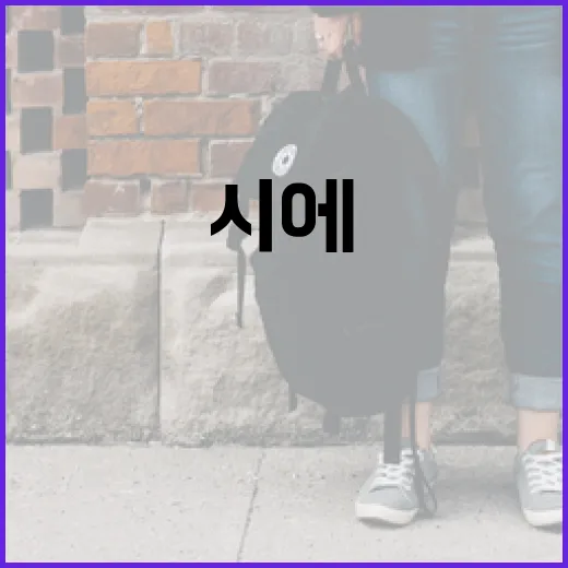 시에(SIE)를 이해하고 활용하는 방법 - 요약