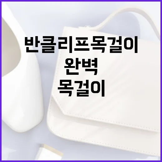 반클리프 목걸이를 완벽하게 활용하는 방법 - 요약