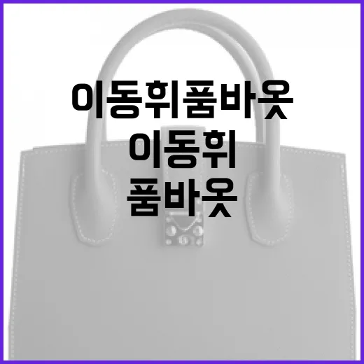 이동휘 품바옷 제대로 입는 방법 - 요약