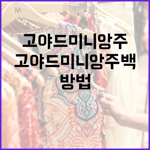 고야드 미니앙주 백을 스타일링하는 방법 - 요약