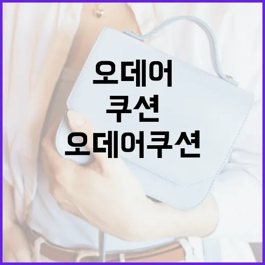 오데어 쿠션을 선택하는 방법 - 요약