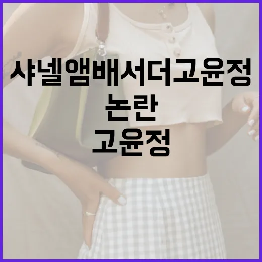 샤넬 앰배서더 고윤정 논란을 이해하는 방법 - 요약
