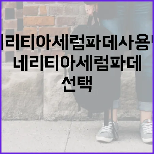 네리티아 세럼파데 사용법: 피부를 위한 최상의 선택 - 요약