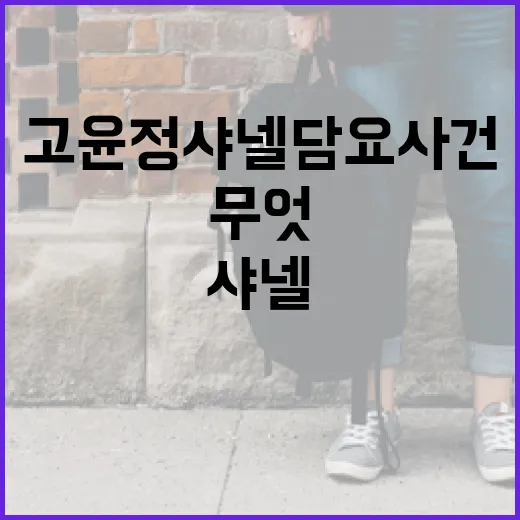 고윤정 샤넬 담요 사건 알아보기: 무엇이 이슈였나? - 요약