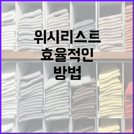 효율적인 위시리스트 작성 방법 - 요약