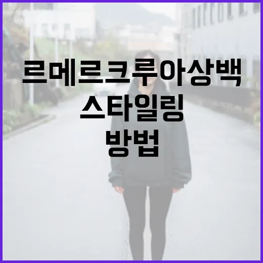 르메르 크루아상백을 스타일링하는 방법 - 요약