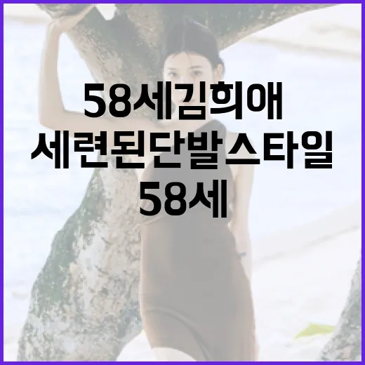 58세 김희애처럼 세련된 단발 스타일을 연출하는 방법 - 요약