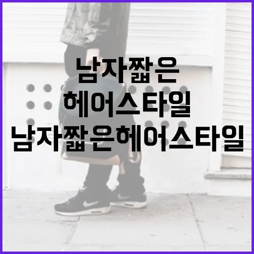 남자 짧은 헤어 스타일 완벽 가이드: 멋지게 연출하는 방법 - 요약