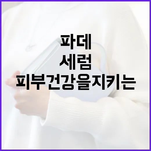 네리티아 세럼파데로 피부 건강을 지키는 방법 - 요약