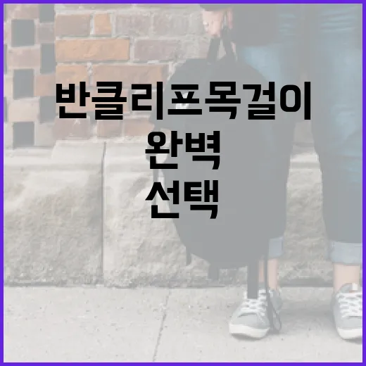 반클리프 목걸이를 완벽하게 선택하는 방법 - 요약