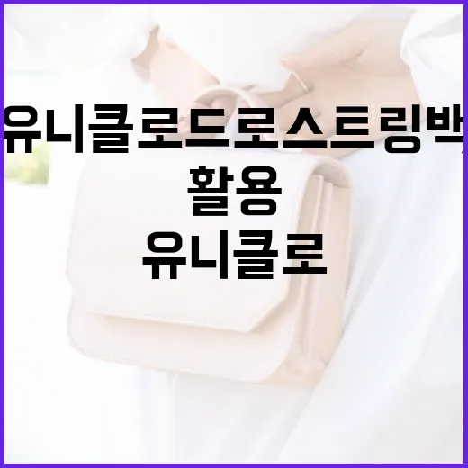 유니클로 드로스트링백 활용하는 방법 - 요약