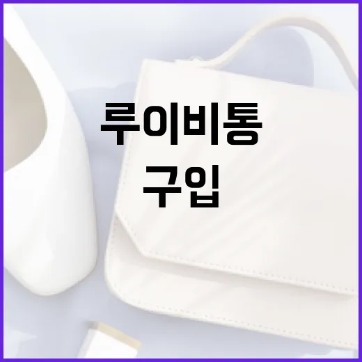 루이비통 가방을 구입하기 전 알아야 할 모든 것 - 요약