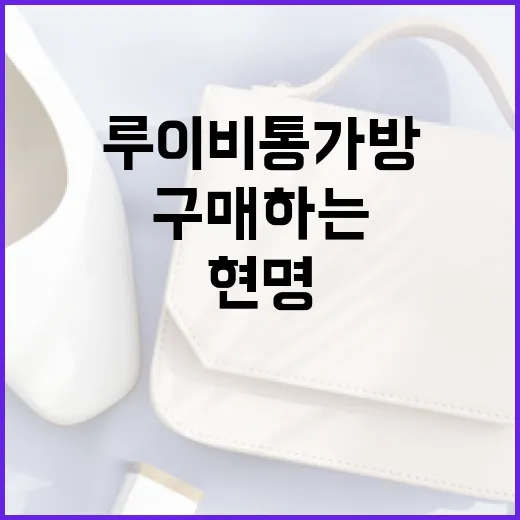 루이비통 가방을 현명하게 구매하는 방법 - 요약