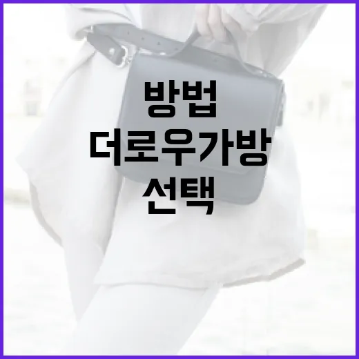 더로우 가방을 효율적으로 선택하는 방법 - 요약