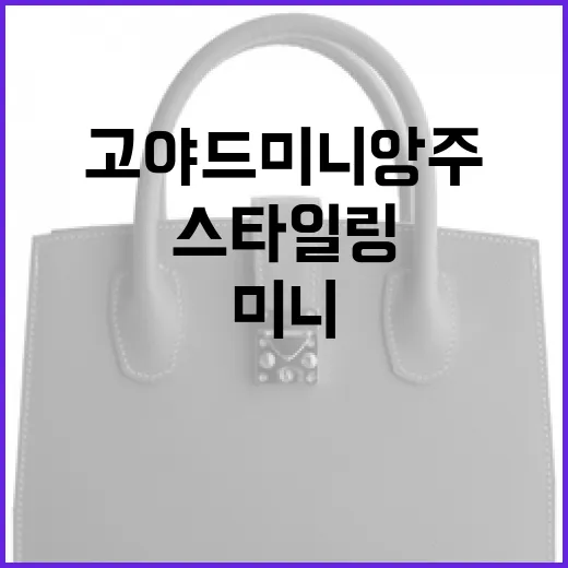 고야드 미니앙주 선택하는 방법과 스타일링 팁 - 요약