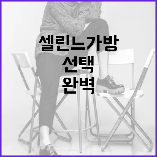 셀린느 가방을 완벽하게 선택하는 방법 - 요약