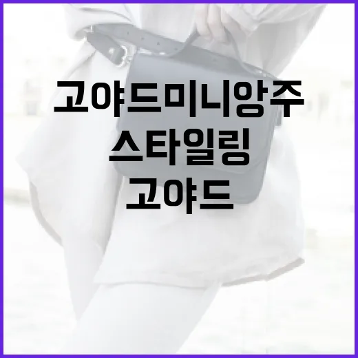 고야드 미니앙주 스타일링하는 방법 - 요약